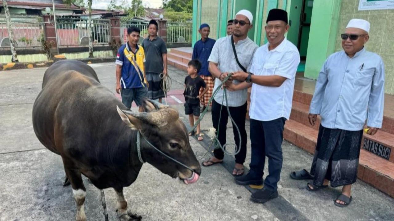 Tragis, Tukang Jagal Hewan Kurban Meninggal Diduga Kena Serangan Jantung Saat Bertugas