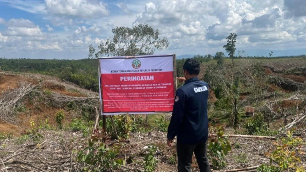Kemenhut Usut 12 Korporasi hingga Perorangan, Ini Daftar Lima Lokasi Diduga Pemicu Banjir Sumatra
