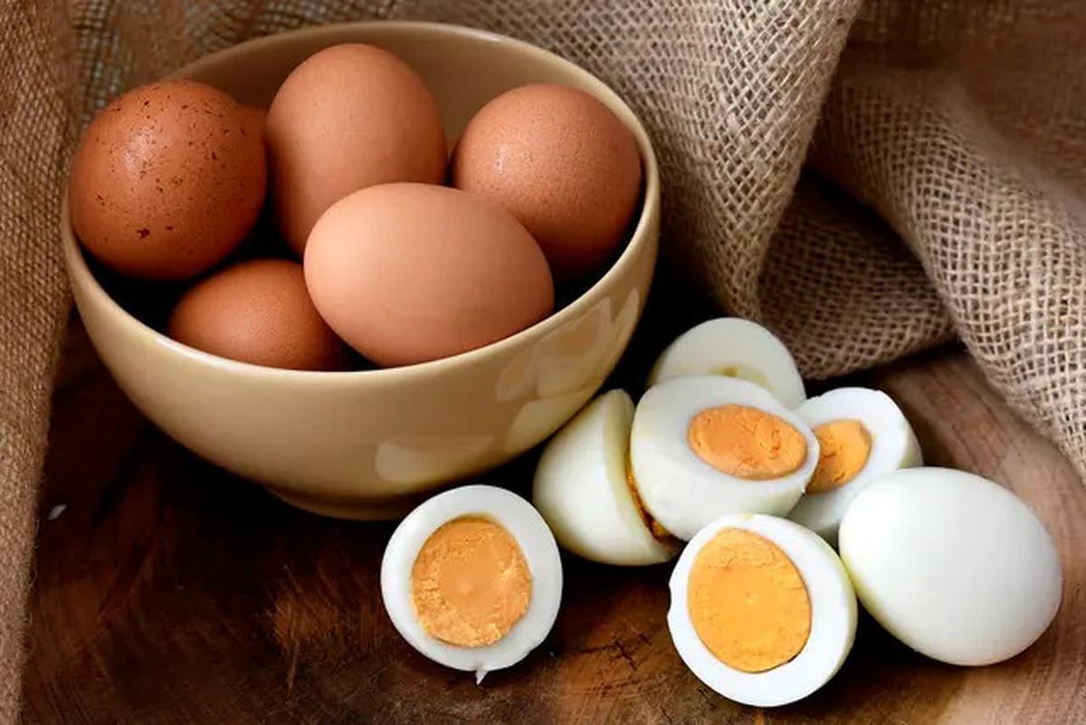Manfaat Konsumsi Telur Setiap Hari, Rahasia Berat Badan Ideal dan Kesehatan Optimal