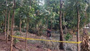 Selisih Paham Masalah Adat, Pria di NTT Tewas Ditangan Tiga Kerabatnya