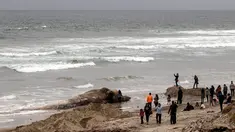 Orang-orang melihat bangkai ikan paus yang terdampar di sebuah pantai kawasan Rosarito, Meksiko, Senin (22/5). Bangkai paus tersebut membuat heboh dan menjadi pusat perhatian bagi pengunjung atau orang yang melintas. (AFP PHOTO/GUILLERMO ARIAS)
