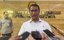 Mentan: Hilirisasi Kelapa Gambir Buka 5 Juta Lapangan Kerja dan Dongkrak Ekonomi Nasional