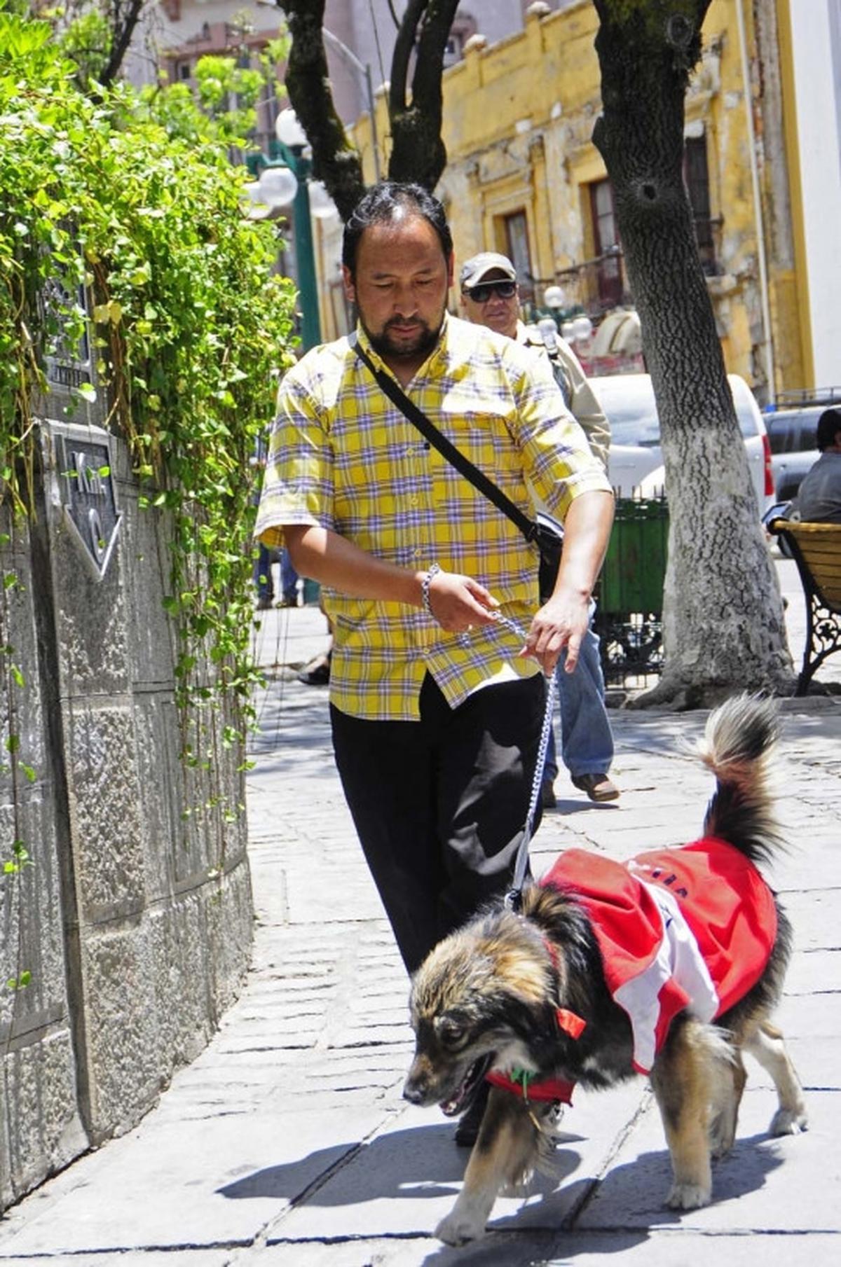Anjing ini jadi simbol penolakan rakyat Bolivia atas Evo Morales