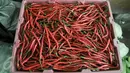 Harga cabai keriting merah melonjak drastis di pasar tradisional, Jakarta, Senin (10/10). Kenaikan harga cabai keriting terimbas kondisi cuaca yang kurang baik sehingga membuat pasokan berkurang. (Liputan6.com/Yoppy Renato)