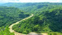 Anda pernah melihat sungai amazon di brasil yang panjang, berliku, berwarna cokelat, dan disisi sampingnya terdapat hutan yang lebat?