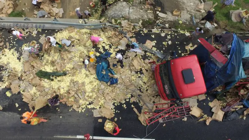 Lebih dari 10.000 Anak Ayam Terhambur dari Truk