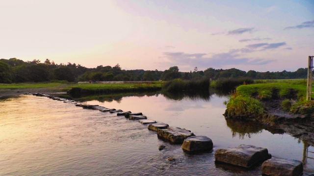 Ilustrasi batu loncatan, alam, inspirasi