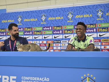 Seekor kucing naik ke meja saat penyerang Brasil #20 Vinicius Junior yang tertawa memberikan konferensi pers sesi konferensi pers Vinicius Junior jelang Kroasia vs Brasil pada perempat final Piala Dunia 2022, di Stadion Al Arabi SC di Doha, Rabu (7/12/2022). Saat sesi tanya jawab tengah berlangsung, tamu tak diundang yakni seekor kucing ikut menimbrung. (NELSON ALMEIDA / AFP)