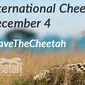 Sumber: lama International Cheetah Day