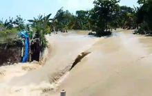 Tanggul Sungai Tuntang Jebol, Banjir Demak Kembali Landa Dua Desa di Guntur