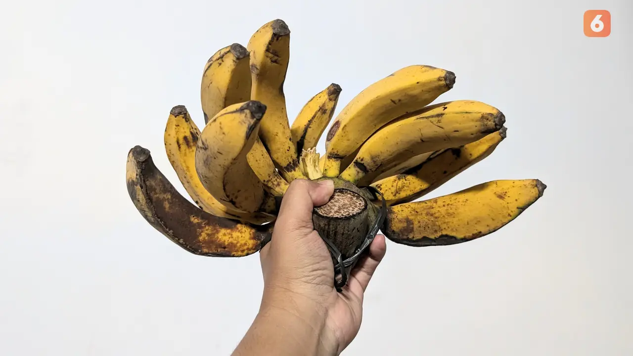 Pisang
