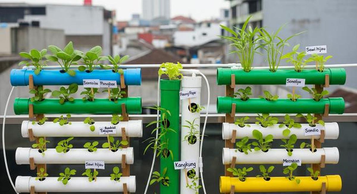 10 Model Kebun Mini untuk Anak-anak Belajar Berkebun di Rumah, Seru dan Edukatif