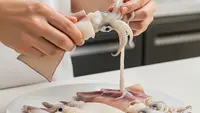 Tips Mencuci Cumi agar Tinta Tidak Terbuang, Sebuah Panduan Lengkap