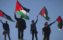 Apa yang Terjadi Jika Palestina Merdeka Menurut Islam? Ini Penjelasan Ayat hingga Hadisnya