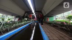 Petugas merawat tanaman taman di kolong fly over Kemayoran, Jakarta,Rabu (11/11/2020). Kolong flyover Kemayoran disulap menjadi ruang terbuka hijau. Ragam tanaman hijau dan kolam ikan menjadikan kawasan ini terlihat sangat asri. (merdeka.com/Imam Buhori)