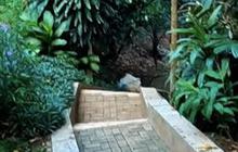 Adem dan Sejuk Banyak Pepohonan Bikin Betah, Begini Potret Kampung Condet di Jakarta Timur