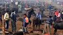 Peserta memenggal kerbau dalam Festival Gadhimai di Bariyarpur, 160 km dari Kathmandu, Nepal (3/12/2019). Festival yang sudah berlangsung turun-temurun ini diwarnai pembantaian kerbau sebagai bentuk persembahan kepada Dewi Hindu Gadhimai. (AFP/Prakash Mathema)