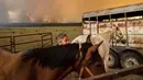 Dawn Garofalo menempatkan kuda-kudanya di kandang sementara di tepi Danau Almanor saat Api Dixie mendekati Chester, California, Selasa (3/8/2021). (AP Photo/Noah Berger)