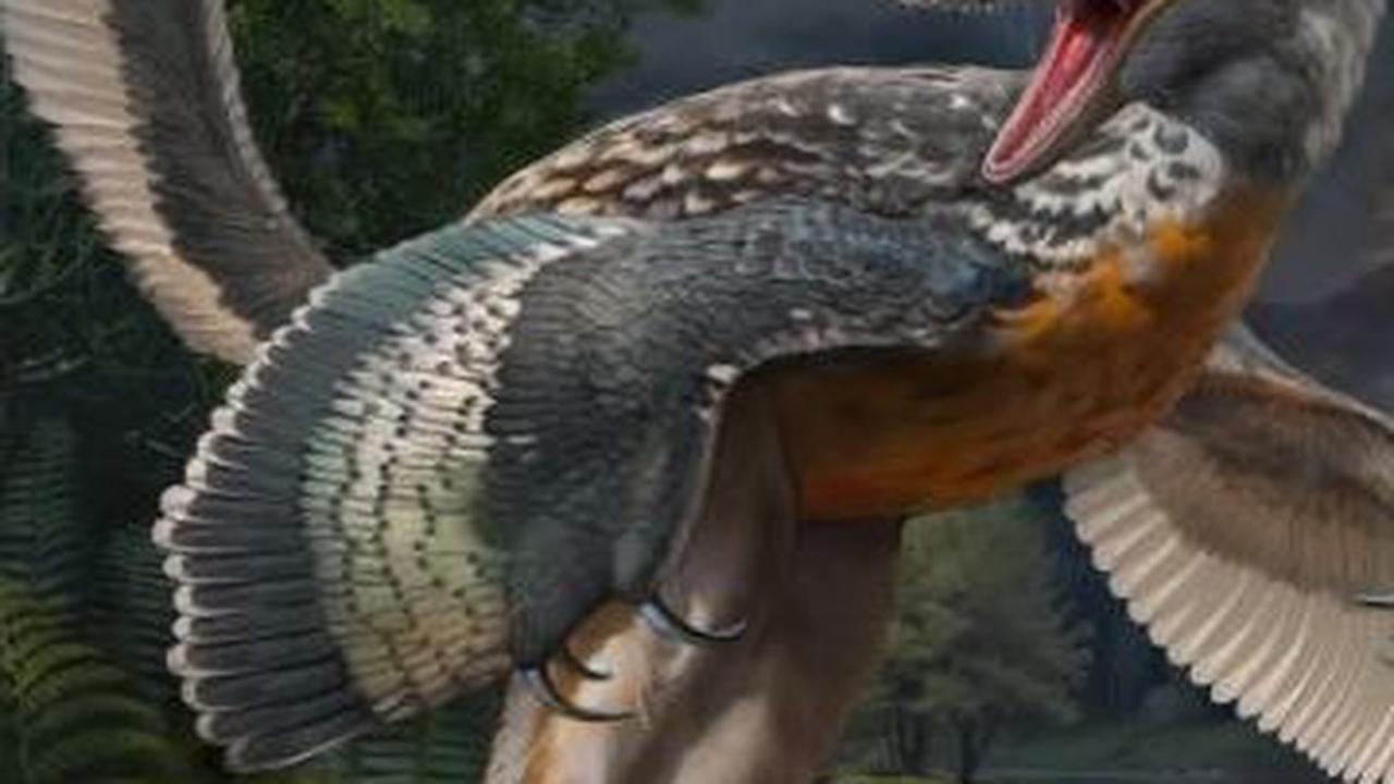 Spesies Dinosaurus Langka Berusia 150 Juta Tahun Ditemukan, Punya Kaki Dua Kali Lebih Panjang dari Paha