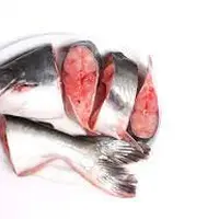 IIustrasi ikan patin. (Foto: GoMommy Foods)