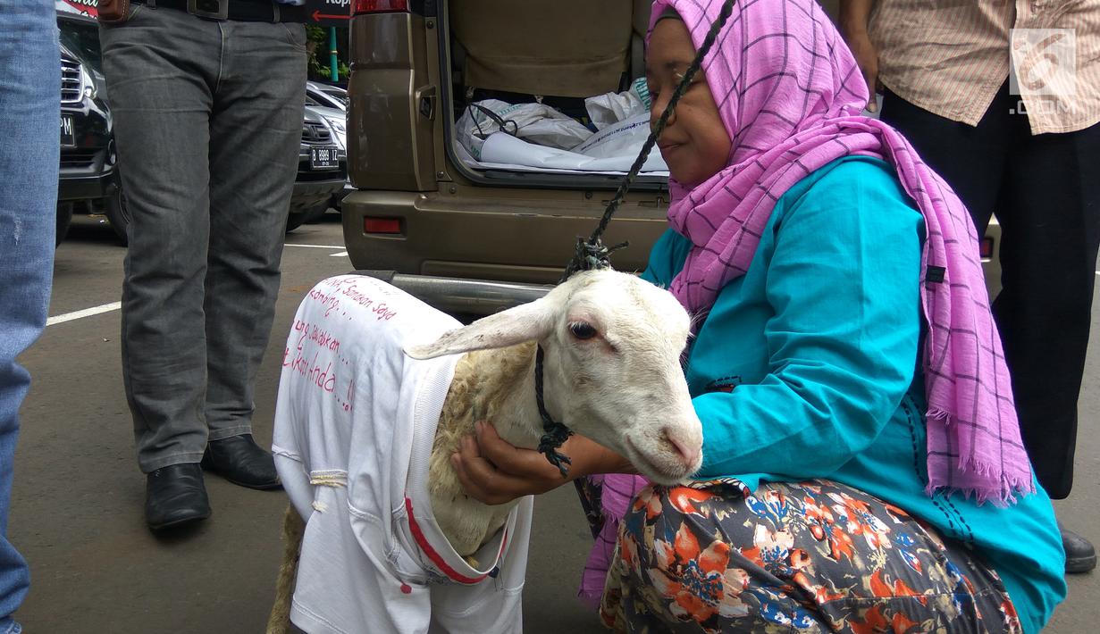 Photo Diperiksa Polisi Mantan Model Seksi Dan Pengacara Razman Nasution Bawa Kambing News Liputan6 Com