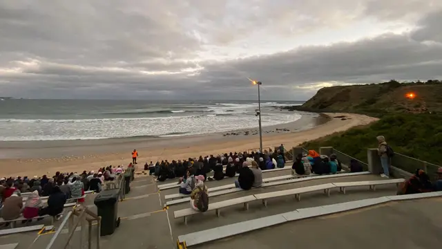 Memantau Kunikan Parade Pinguin Australia di Tepi Pantai