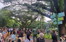 Ragunan Targetkan 400 Ribu Pengunjung Libur Lebaran 2026, Siap Sambut Wisatawan