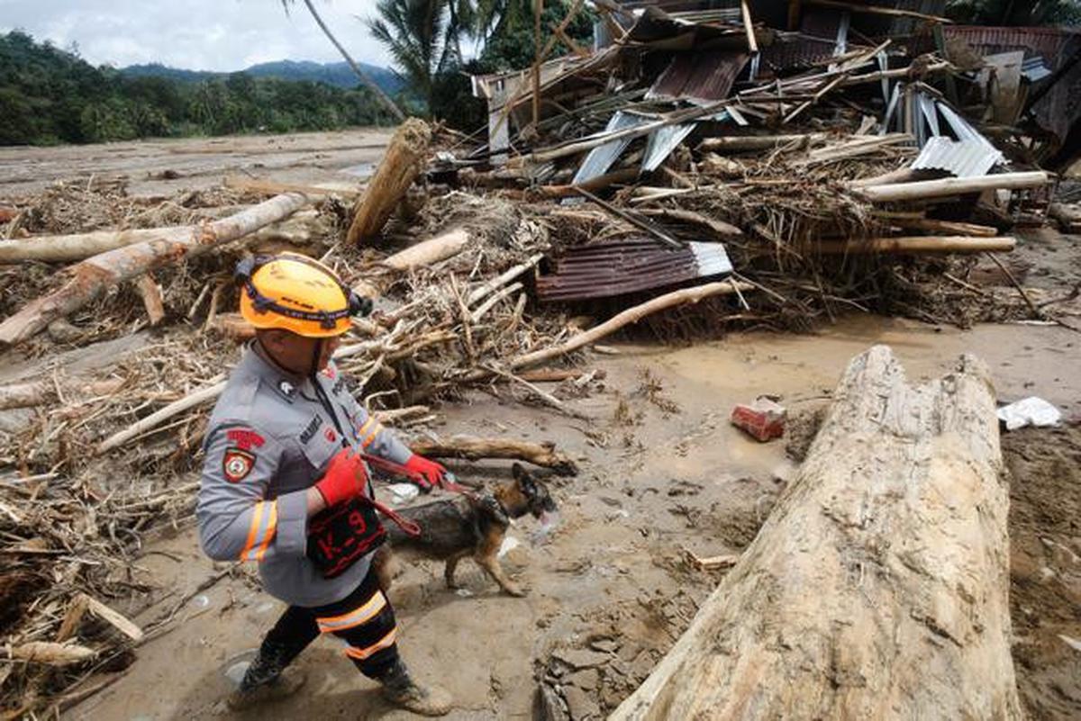 Menteri LH Bakal Sanksi Pemda Jika Kebijakannya Perburuk Banjir Sumatra: Kami Tak Ragu!