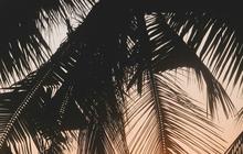 90 Kata-kata Senja di Pantai yang Aesthetic, Keren, dan Cocok untuk Caption Instagram