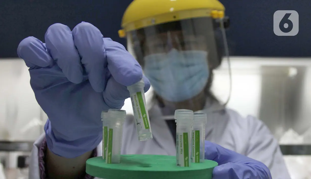 Doktor Tjandrawati Mozef Peneliti Biokimia Farmasi LIPI yang juga penemu menunjukan detection kit "QIRANI 19 " atau alat deteksi alternatif virus corona di Laboratorium Kimia Lembaga Ilmu Pengetahuan Indonesia (LIPI) Puspiptek Serpong, Tangerang Selatan, Rabu (26/8/2020). (merdeka.com/Arie Basuki)