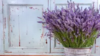 ilustrasi lavender (sumber: iStockphoto)