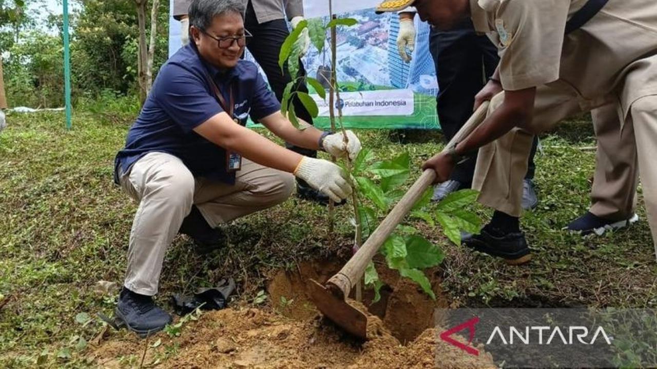 Tahukah Anda? Kebun Raya Tua Tunu Kembangkan Malapari Biodiesel, Solusi Energi Ramah Lingkungan!