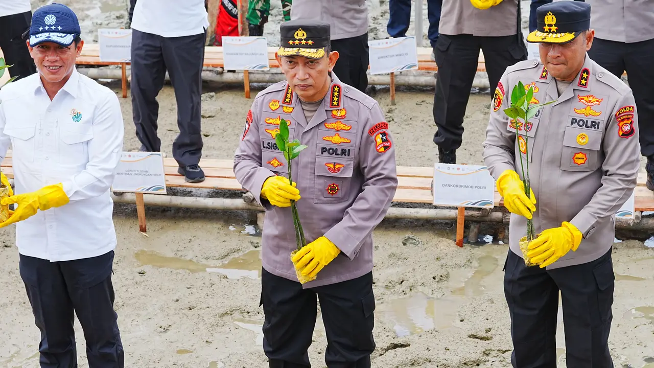 Kapolri Jenderal Listyo Sigit Prabowo melaksanakan kegiatan penanaman mangrove di Mempawah, Kalimantan Barat (Kalbar), Jumat (8/8/2025) (Istimewa)