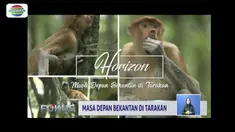 Pemkot Tarakan, Kalimantan Utara, dirikan kawasan hutan konservasi untuk melestarikan populasi bekantan yang kian turun.