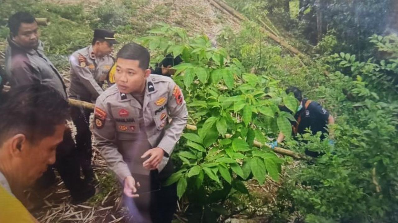 Tragis! Bayi Terpotong Tiga Ditemukan di Ngarai Sianok Bukittinggi, Diduga Mutilasi