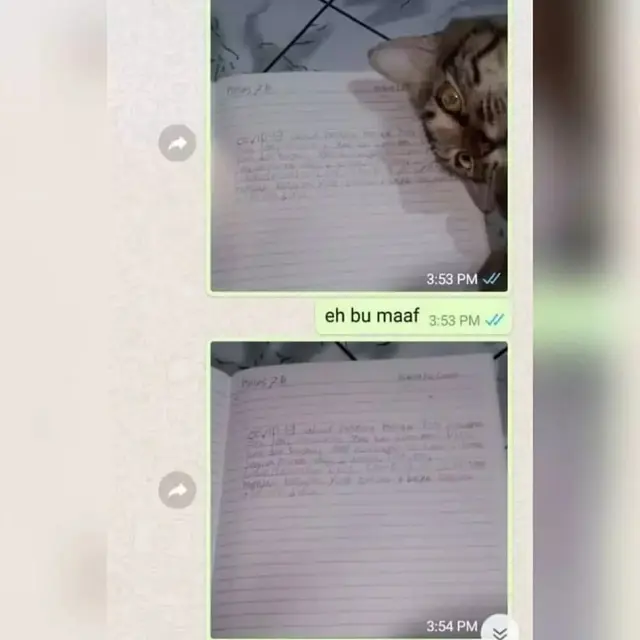 6 Momen Apes dan Lucu ketika Mengerjakan Tugas Ini Bikin Elus Dada