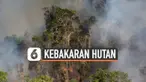 THUMBNAIL HUTAN AMAZON