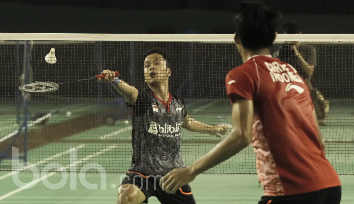 Pebulu tangkis tunggal putra, Anthony Ginting,  saat bertanding dalam  simulasi Piala Sudirman 2017 di lapangan Pelatnas PBSI, Jakarta, Sabtu (13/5). Simulasi untuk mematangkan persiapan menuju Piala Sudirman di Australia. (Bola.com/M Iqbal Ichsan)