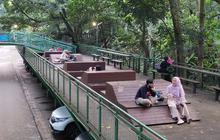 Hikayat Hutan Babakan Siliwangi, Dulu Arena Adu Domba Kini Jadi Tempat Nongkrong Kekinian di Bandung