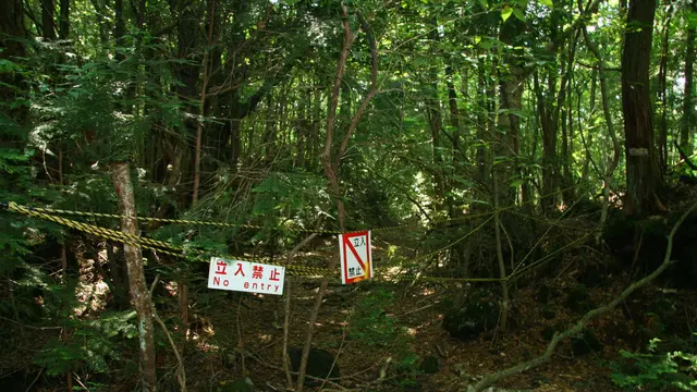 7 Fakta Menyeramkan dari Hutan Aokigahara