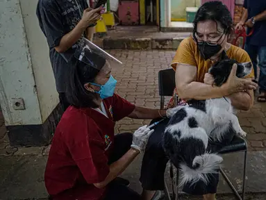 Warga memegang anjing peliharaannya saat disuntik vaksin rabies di kantor kelurahan Petukangan Selatan, Jakarta, Rabu (15/9/2021). Dinas Ketahanan Pangan dan Pertanian memberikan vaksinasi rabies bagi hewan peliharaan milik warga untuk mengantisipasi penyakit rabies. (Liputan6.com/Faizal Fanani)