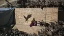 Biksu berdoa disekitar pemakaman yang dikelilingi Burung bangkai di Larung Wuming Buddha Institute, Tibet, Cina (1/11/2015). Orang Tibet  percaya tubuh orang meninggal akan lebih baik dimangsa burung bangkai sebagai penebus utang. (REUTERS/Damir Sagolj)