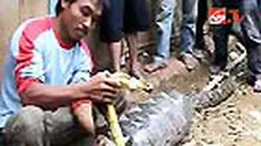 liputan6