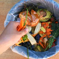 Ilustrasi sampah makanan. (Unsplash)