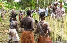 Wapres Gibran Dukung Penguatan Komoditas Pangan Lokal Papua Melalui Sekolah Lapang Sagu