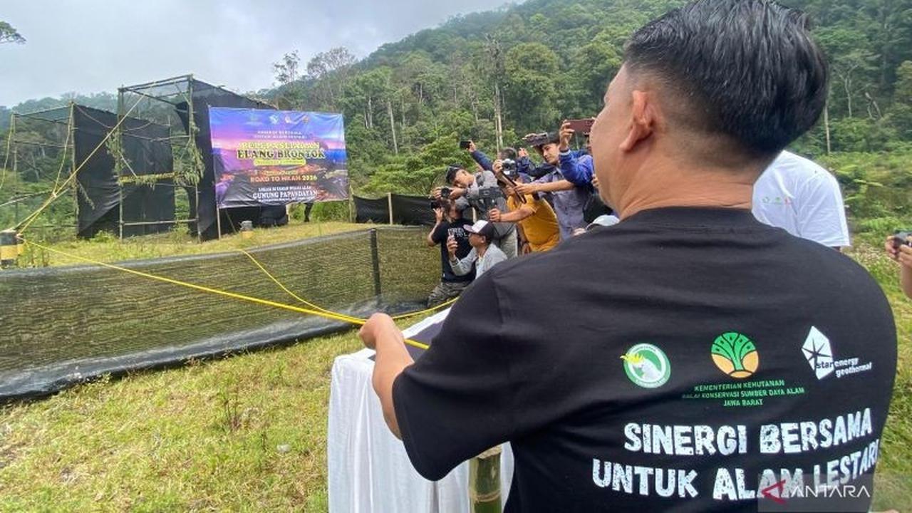 Dua Elang Brontok Sukma dan Ajeung Dilepasliarkan di Hutan Darajat, Jaga Ekosistem Garut