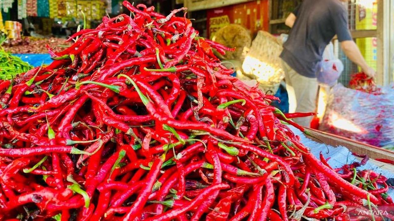 Harga Cabai Merah di Aceh Barat Meroket 150 Persen, Capai Rp90 Ribu/Kg! Apa Penyebabnya?