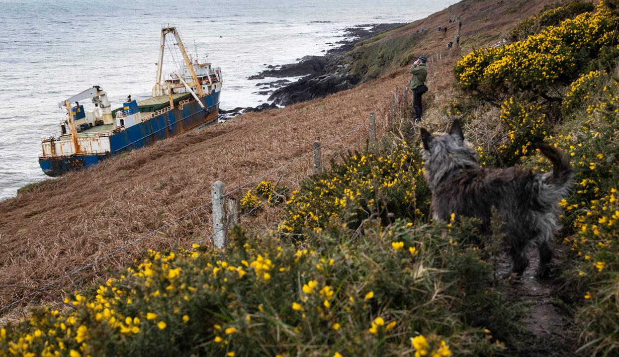 Kapal kargo sepanjang 77 meter, MV Alta,  terjebak di atas batu di dekat Ballycotton, Cork, Irlandia, Selasa (18/2/2020). "Kapal hantu" yang berlayar tanpa awak selama lebih dari satu tahun hanyut dan terbawa ke pantai selatan Irlandia menyusul sapuan Badai Dennis. (Cathal Noonan/AFP)