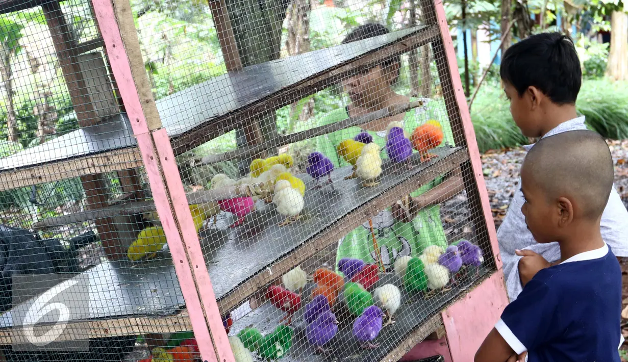 Sejumlah anak saat melihat anak ayam berwarna-warni yang dijajakan pedagang di Puri Bukit, Depok, Sabtu (15/1). Alasan pedagang menjual anak ayam warna warni karena terlihat lebih menarik dari pada anak ayam yang polos. (Liputan6.com/Helmi Affandi)