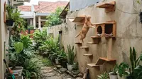 9 Cara Membuat Sudut Bermain Kucing di Pekarangan Rumah yang Sempit, Tetap Nyaman